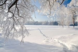 winter-weather